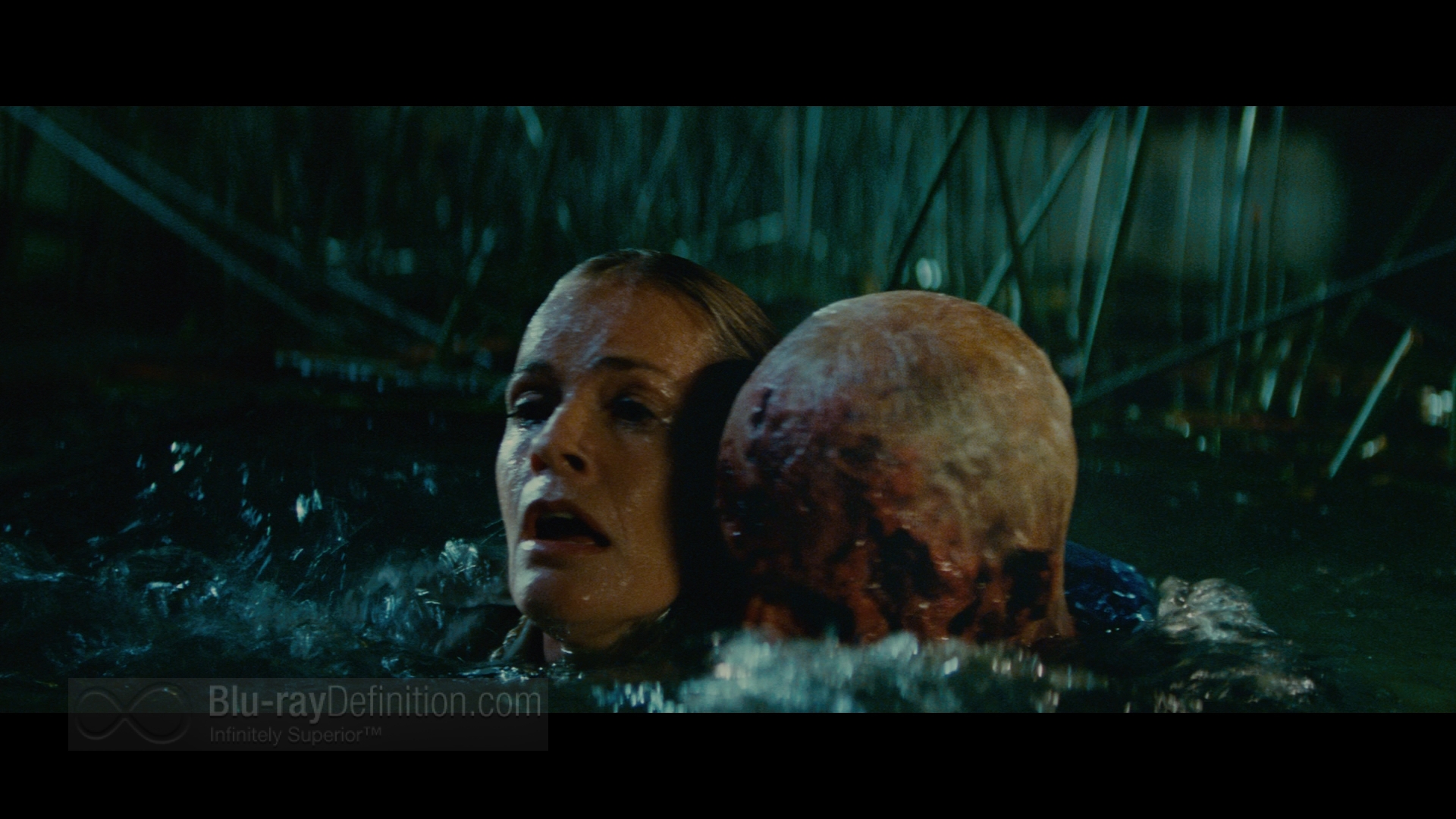porn elizabeth shue 2009