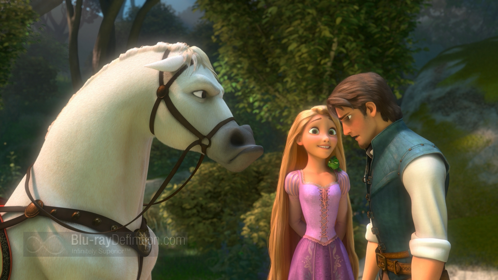 Tangled Arabic مشاهده وتحميل Movs4u موفيز فور يو